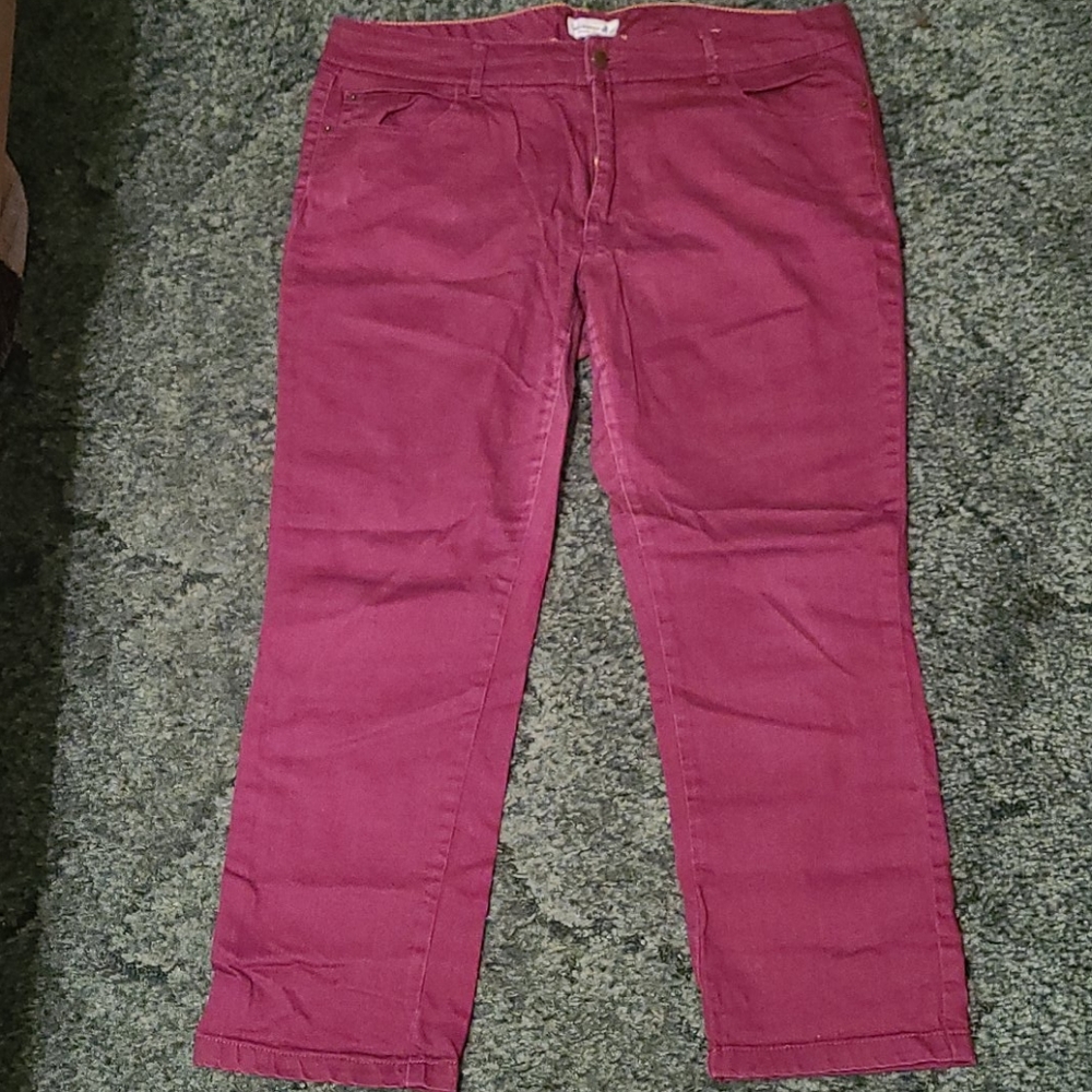 Caribbean Joe size 14 Purple Jeans
